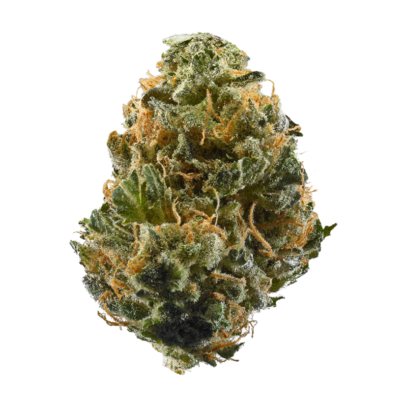 Gorilla Runtz Strain For Sale
